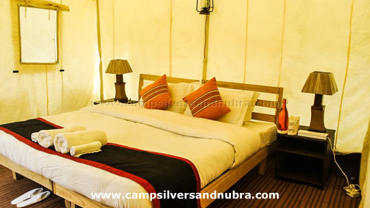 Camp Silver Sand Nubra Valley Twin Room