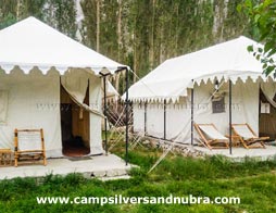Nubra Silversand Camp Tent Outside Sitting Area
